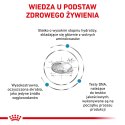 ROYAL CANIN Anallergenic Cat 4kg Royal Canin weterynaria