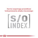 ROYAL CANIN Anallergenic Cat 4kg Royal Canin weterynaria