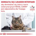 ROYAL CANIN Anallergenic Cat 4kg Royal Canin weterynaria