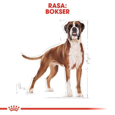 ROYAL CANIN Boxer Adult 12kg Royal Canin