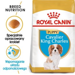 ROYAL CANIN Cavalier King Charles Spaniel Puppy 1,5kg Royal Canin