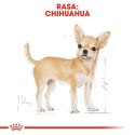 ROYAL CANIN Chihuahua Adult 12x85g Royal Canin