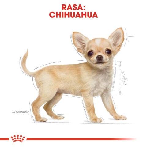 ROYAL CANIN Chihuahua Puppy 500g Royal Canin
