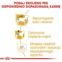 ROYAL CANIN Dachshund Adult 7,5kg Royal Canin