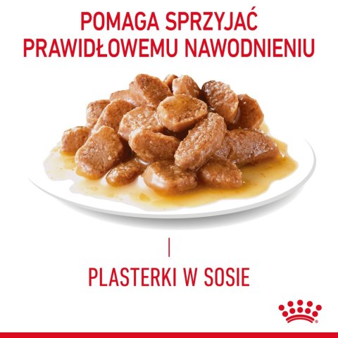 ROYAL CANIN Digest Sensitive 12x85g Royal Canin