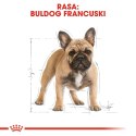 ROYAL CANIN French Bulldog Adult 9kg Royal Canin
