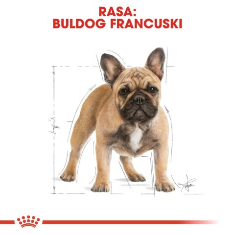 ROYAL CANIN French Bulldog Adult 9kg Royal Canin