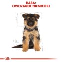 ROYAL CANIN German Shepherd Puppy 12kg Royal Canin