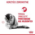 ROYAL CANIN Hairball Care 12x85g Royal Canin