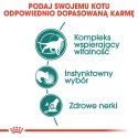 ROYAL CANIN Instinctive +7 12x85g Royal Canin