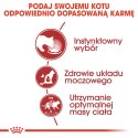ROYAL CANIN Instinctive Gravy 12x85g Royal Canin