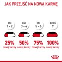 ROYAL CANIN Intense Beauty Gravy 12x85g Royal Canin