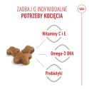 ROYAL CANIN Kitten 2kg Royal Canin