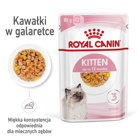 ROYAL CANIN Kitten Instinctive W Galaretce 12x85g Royal Canin