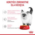 ROYAL CANIN Kitten Instinctive W Galaretce 12x85g Royal Canin