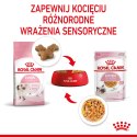 ROYAL CANIN Kitten Instinctive W Galaretce 12x85g Royal Canin