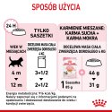ROYAL CANIN Kitten Instinctive W Galaretce 12x85g Royal Canin