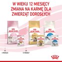 ROYAL CANIN Kitten Instinctive W Galaretce 12x85g Royal Canin