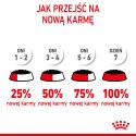 ROYAL CANIN Kitten Instinctive W Galaretce 12x85g Royal Canin