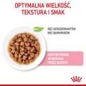 ROYAL CANIN Kitten Instinctive W Sosie 12x85g Royal Canin