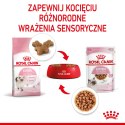 ROYAL CANIN Kitten Instinctive W Sosie 12x85g Royal Canin