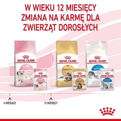 ROYAL CANIN Kitten Pasztet 12x85g Royal Canin