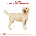 ROYAL CANIN Labrador Retriever Adult 12kg Royal Canin