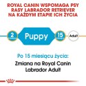 ROYAL CANIN Labrador Retriever Puppy 12kg Royal Canin