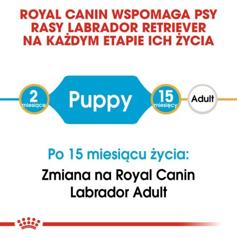 ROYAL CANIN Labrador Retriever Puppy 12kg Royal Canin