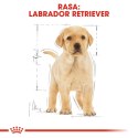 ROYAL CANIN Labrador Retriever Puppy 12kg Royal Canin