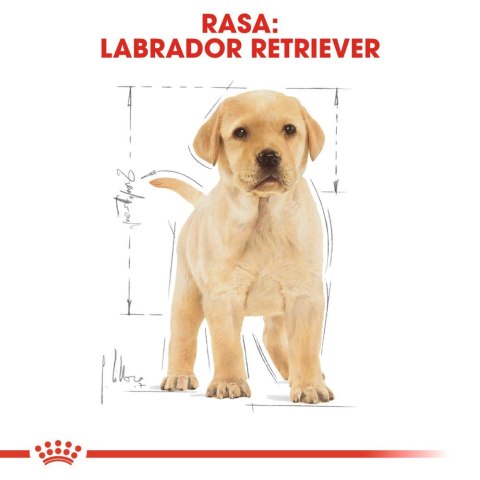 ROYAL CANIN Labrador Retriever Puppy 12kg Royal Canin