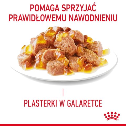 ROYAL CANIN Light Weight Care W Galaretce 12x85g Royal Canin