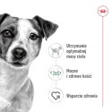 ROYAL CANIN Mini Adult 800g Royal Canin
