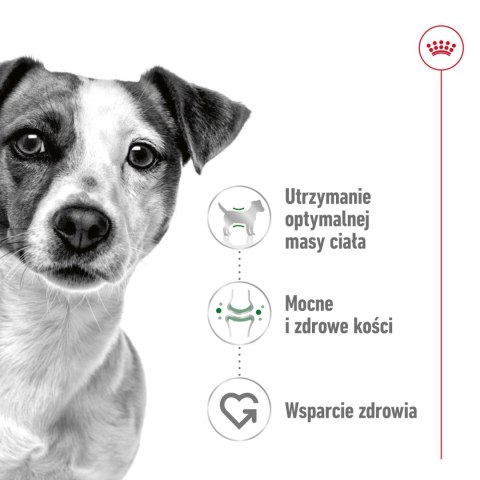 ROYAL CANIN Mini Adult 800g Royal Canin