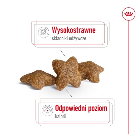 ROYAL CANIN Mini Adult 800g Royal Canin