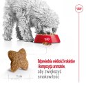 ROYAL CANIN Mini Adult 800g Royal Canin