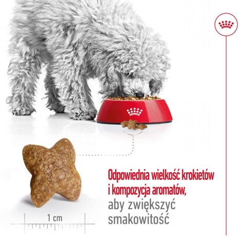 ROYAL CANIN Mini Adult 800g Royal Canin