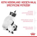ROYAL CANIN Mother & Babycat 2kg Royal Canin