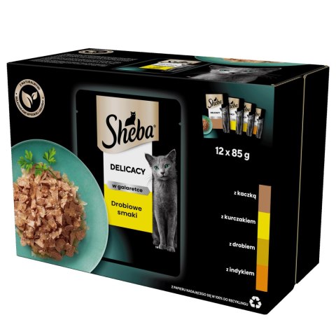 Sheba Saszetka Delicacy In Jelly Smaki Drobiowe 12x85g Sheba