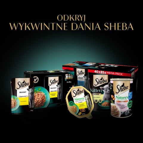 Sheba Saszetka Delicacy In Jelly Smaki Drobiowe 4x85g Sheba