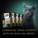 Sheba Saszetka Delicacy In Jelly Smaki Drobiowe 4x85g Sheba