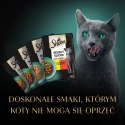 Sheba Saszetka Selection In Sauce Soczyste Smaki 4x85g Sheba