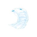 Trixie Pieluchy Dla Dorosłych Psów M-L 46-60cm 12szt Trixie