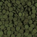 Tropical Super Spirulina Forte 340szt Tablets 250ml Tropical
