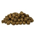 BOSCH Mini Senior 1kg Bosch