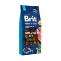 Brit Premium By Nature Sensitive Z Jagnięciną I Ryżem 15kg Brit