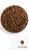 Orijen Six Fish Dog 2kg Orijen