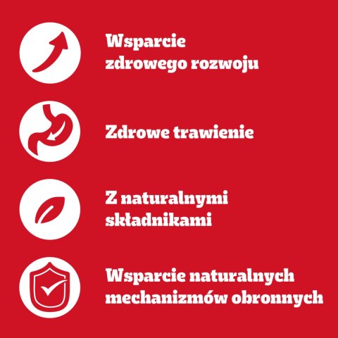 Pedigree Mokra Karma Dla Szczeniąt Mix Smaków Kurczak Z Ryżem, Jagnięcina Z Ryżem, Drób Z Ryżem I Wołowina Z Ryżem W Galaretce 1 Pedigree
