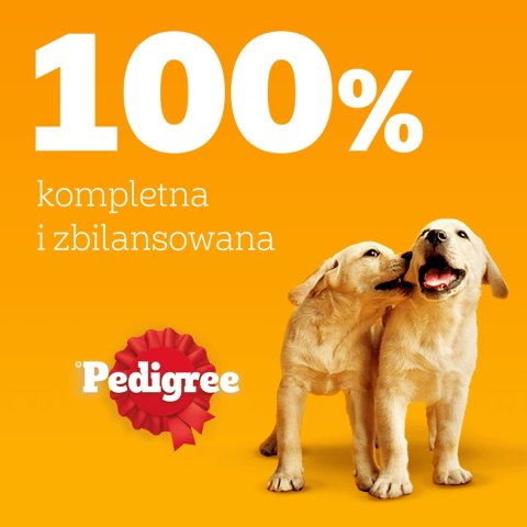 Pedigree Mokra Karma Dla Szczeniąt Mix Smaków Kurczak Z Ryżem, Jagnięcina Z Ryżem, Drób Z Ryżem I Wołowina Z Ryżem W Galaretce 1 Pedigree