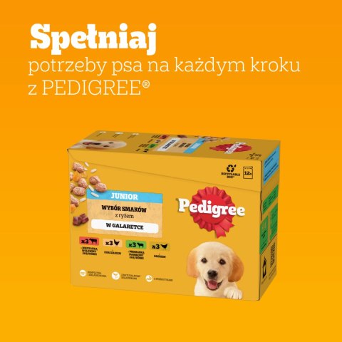Pedigree Mokra Karma Dla Szczeniąt Mix Smaków Kurczak Z Ryżem, Jagnięcina Z Ryżem, Drób Z Ryżem I Wołowina Z Ryżem W Galaretce 1 Pedigree
